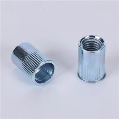 Reduzéieren Head Knurled Kierper Rivet Nëss